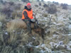 Jason's 2010 bull (6/6)